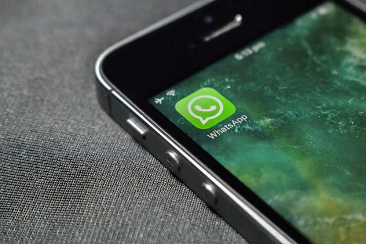 Whatsapp, ecco come scrivere chi ci spia: un trucco semplice da detective