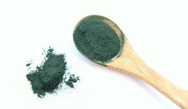 Alga spirulina