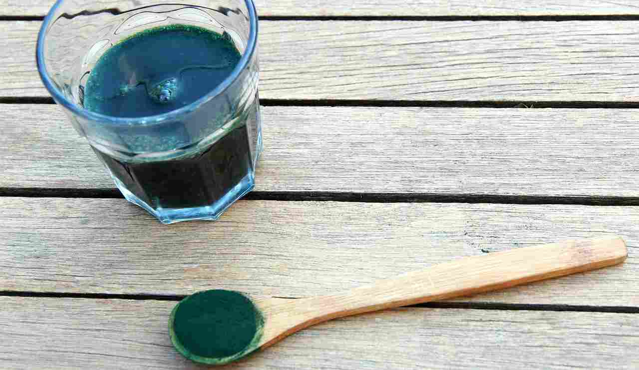 Alga spirulina