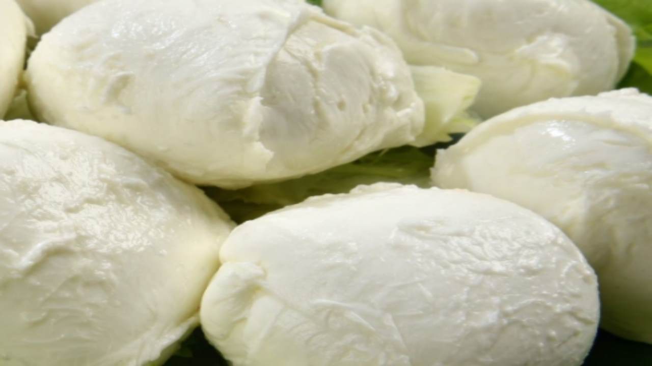 Mozzarella fa ingrassare ecco finalmente le novità