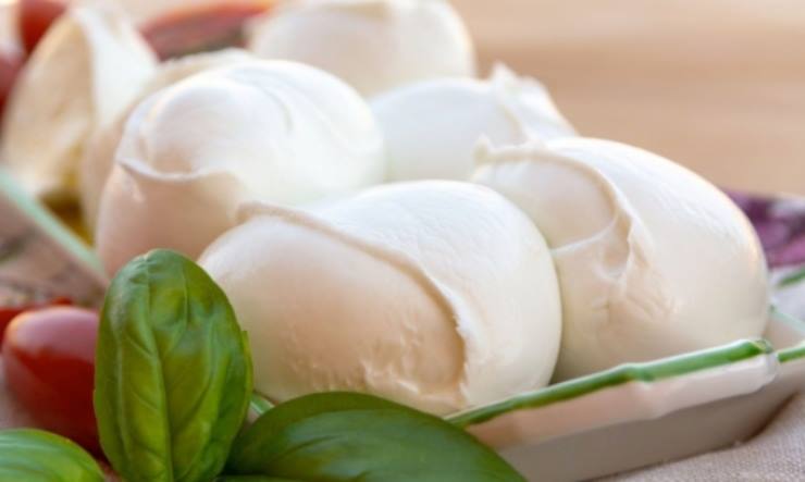 Mozzarella fa ingrassare ecco finalmente le novità