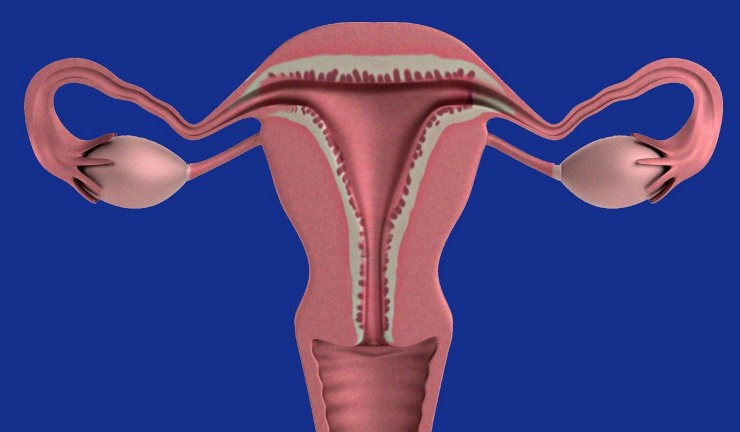 Pap test