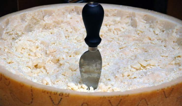 Parmigiano Grana