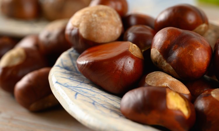 castagne e marroni