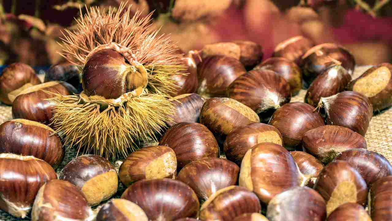 castagne