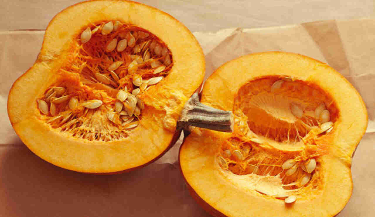 Conservazione zucca