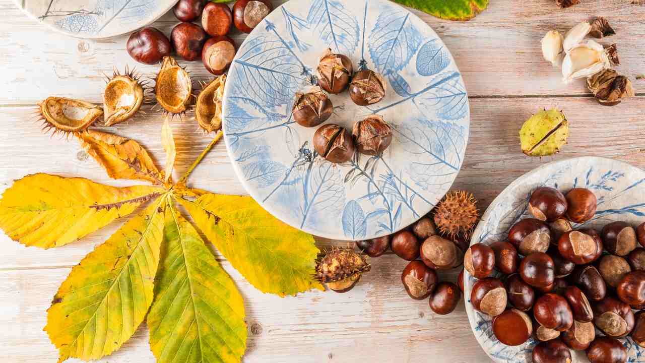 castagne e marroni