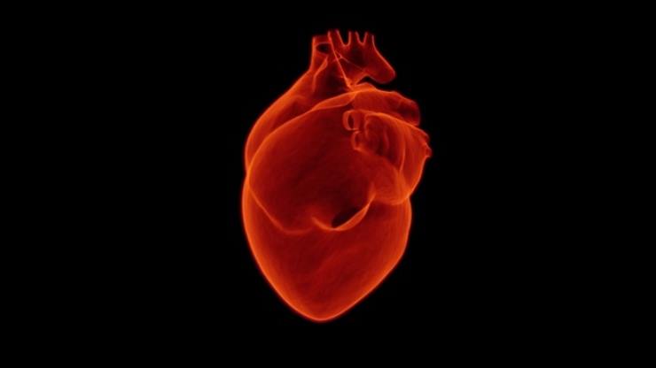 Rischio infarto? Ecco come interpretare un dolore al petto