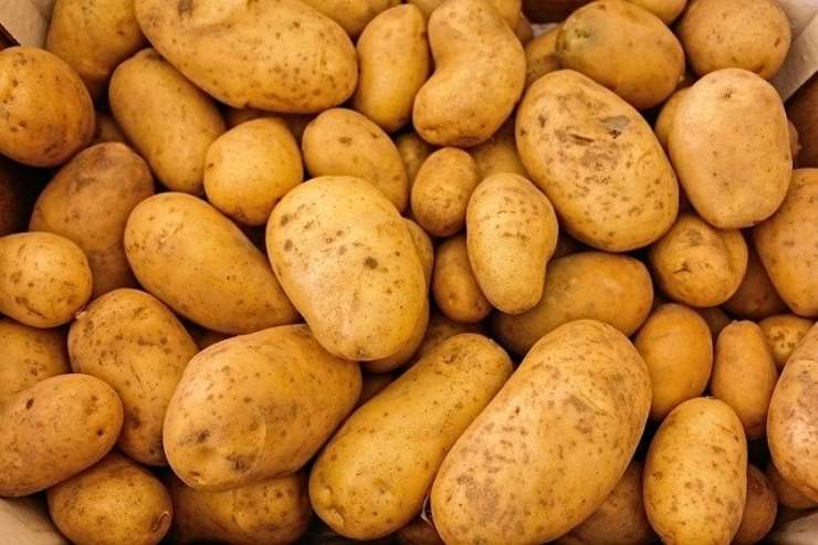 Non sono tutte commestibili le patate, ecco quelle tossiche!