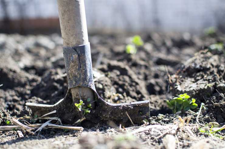 Usucapione di terreno agricolo