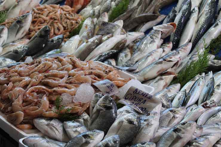 Pesce fresco al mercato