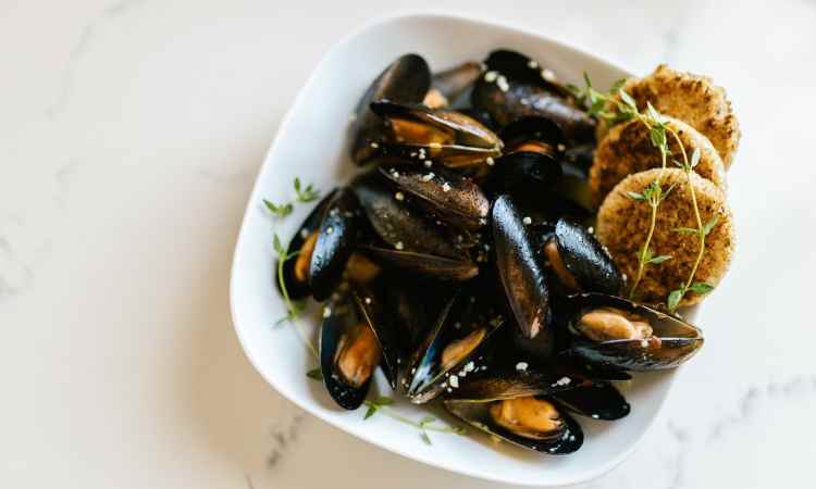 cozze