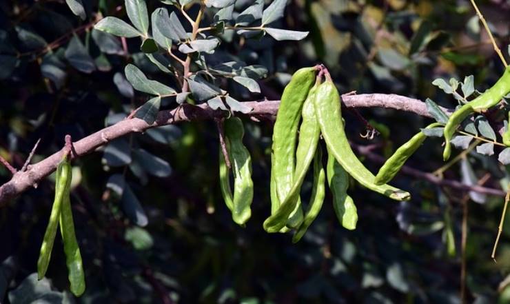 Ustioni alle mani da olio bollente e acqua ecco i rimedi da fare come primo soccorso