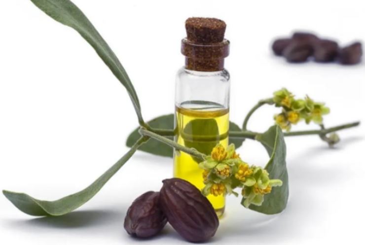 L'olio che tutte le donne dovrebbero utilizzare per prevenire rughe e i segni dell'età