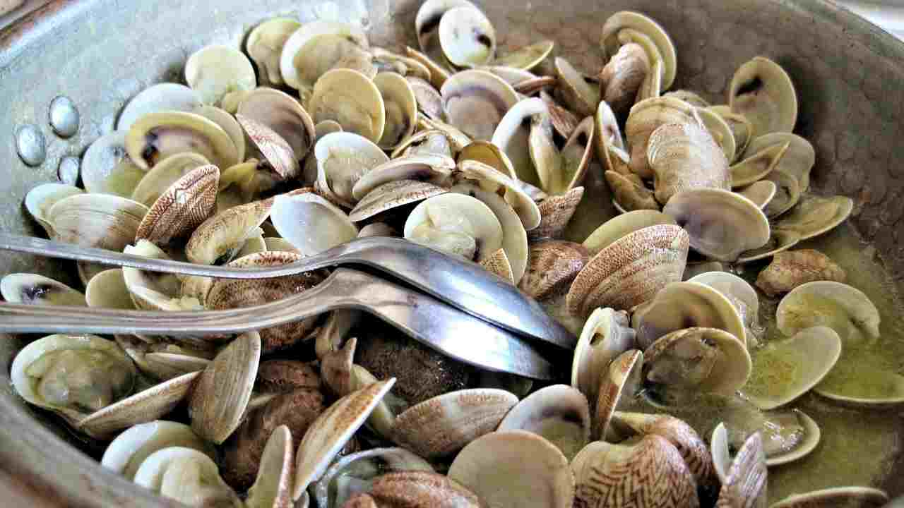 Non tutti sanno che le vongole si spurgano con questo trucchetto