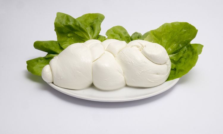 mozzarella