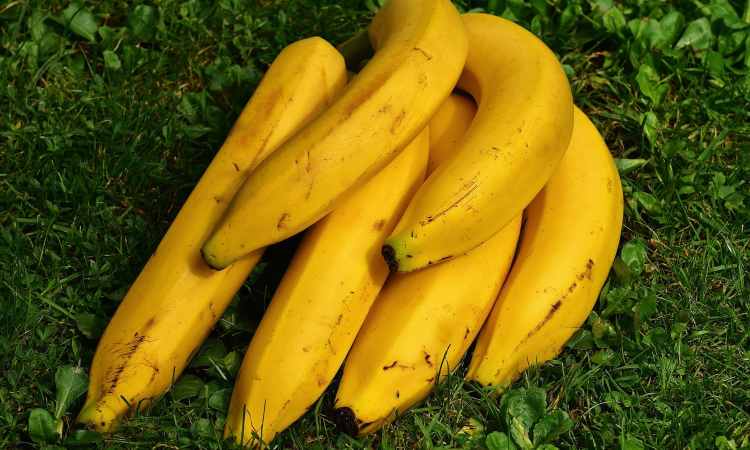 banana