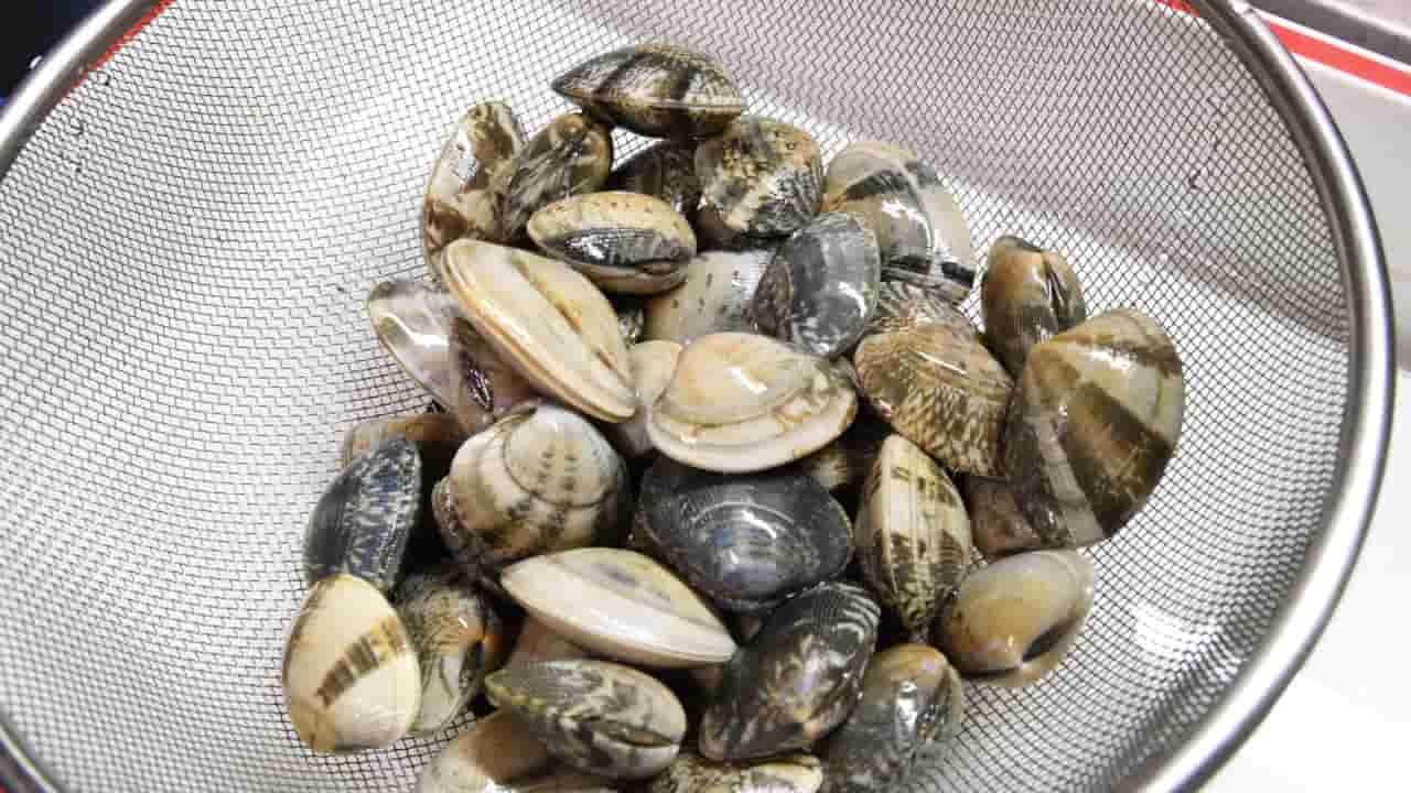 vongole sabbia