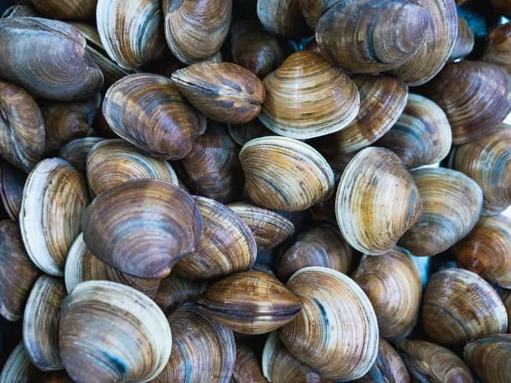 vongole sabbia