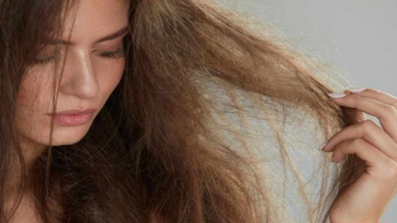 Capelli secchi, opachi e sfibrati ecco come farli riprendere con questi rimedi naturali