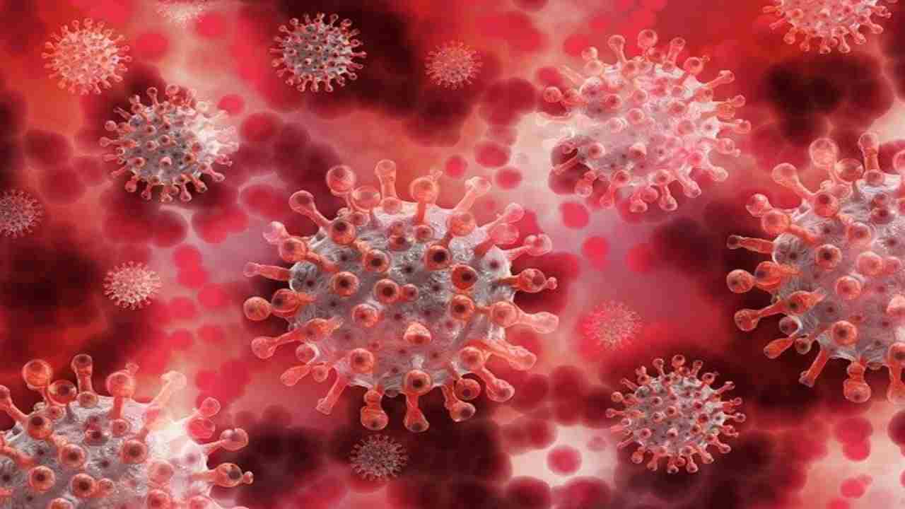 Covid il nostro cervello come reagisce al virus