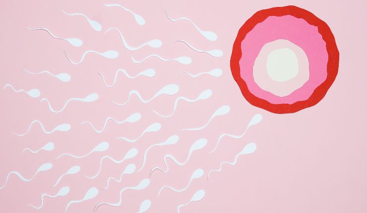 covid infertilità effetti 20220122 - Nonsapeviche.com