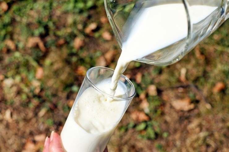 Il motivo per cui non deve mai mancare il latte e i suoi derivati nella nostra alimentazione