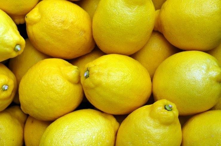 Assumere acqua e limone tutti i giorni ha benefici incredibili: ecco quali