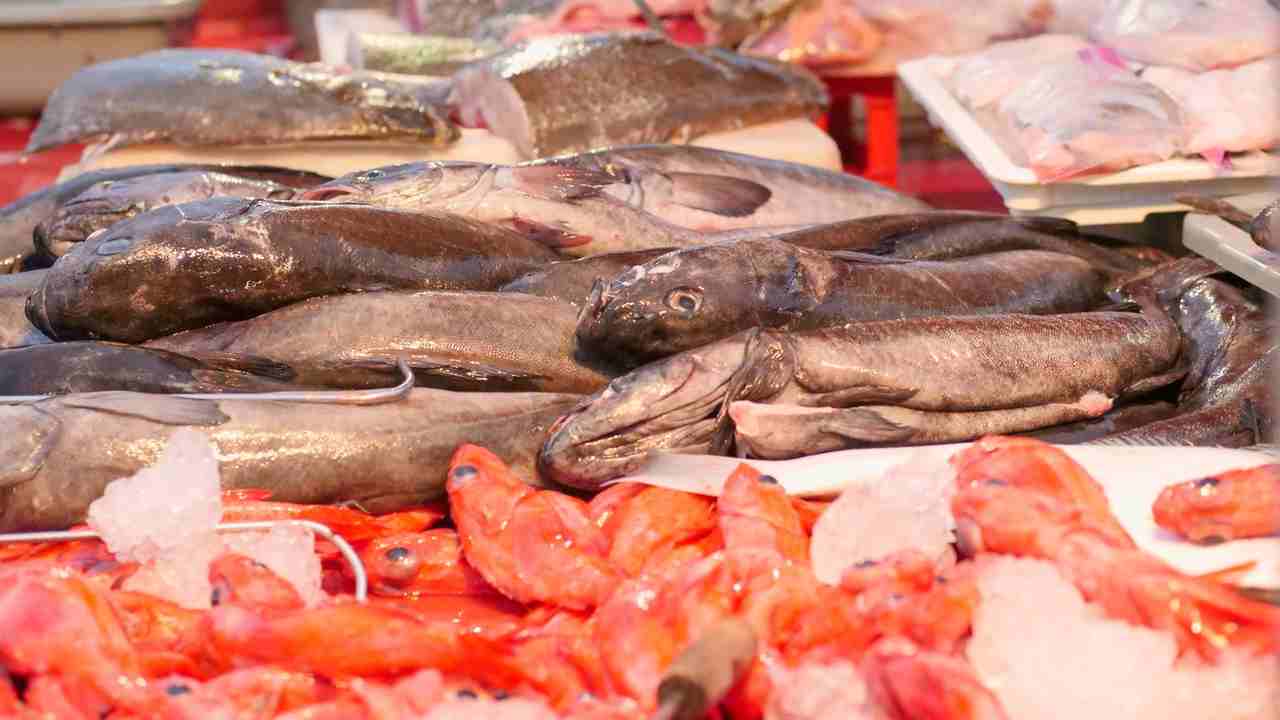 In molti mangiano questo pesce, non sanno quanto fa male alla salute! 2022-1-6 Nonsapeviche.com
