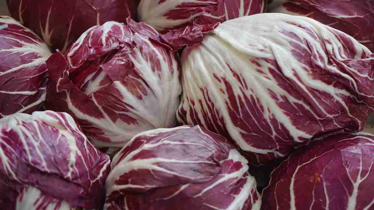 Il radicchio, la verdura dal colore vivace che fa benissimo: ecco perché! 2022-01-30 Nonsapeviche.com