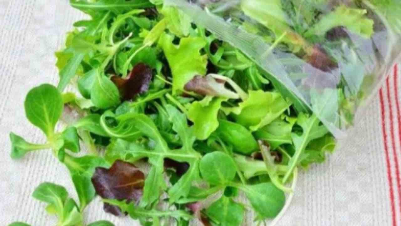 Insalata in busta o insalata sfusa ecco le differenze che non conoscete