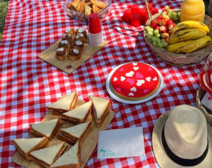 C'è il sole e non fa freddo? Allora pic nic. Si ma perchè si chiama così