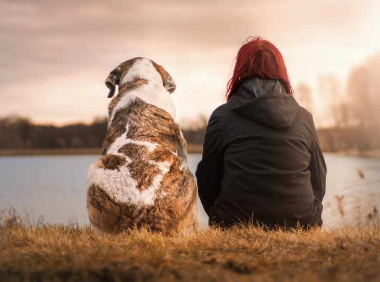 Il cane riconosce il padrone in un modo incredibile: la scoperta della scienza