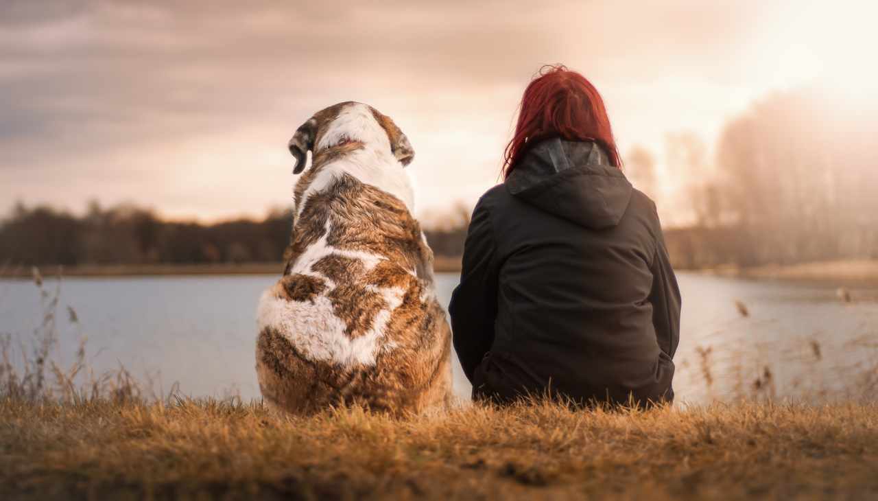 Il cane riconosce il padrone in un modo incredibile: la scoperta della scienza