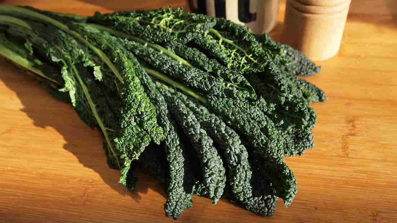 cavolo nero