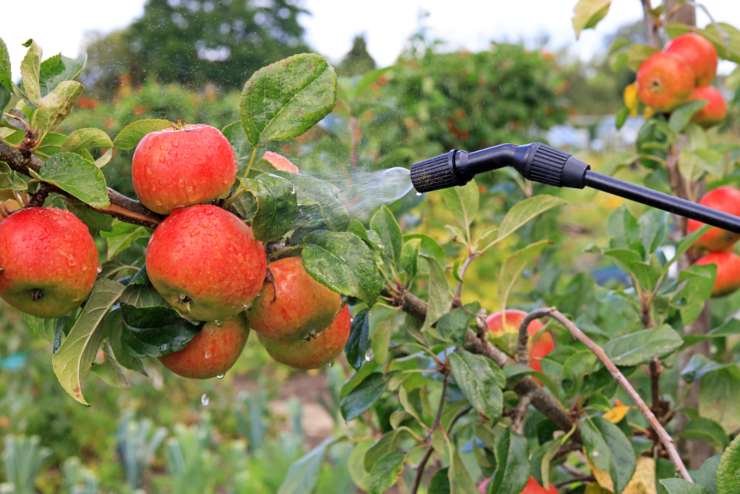 Pesticidi nella frutta - NonSapeviChe