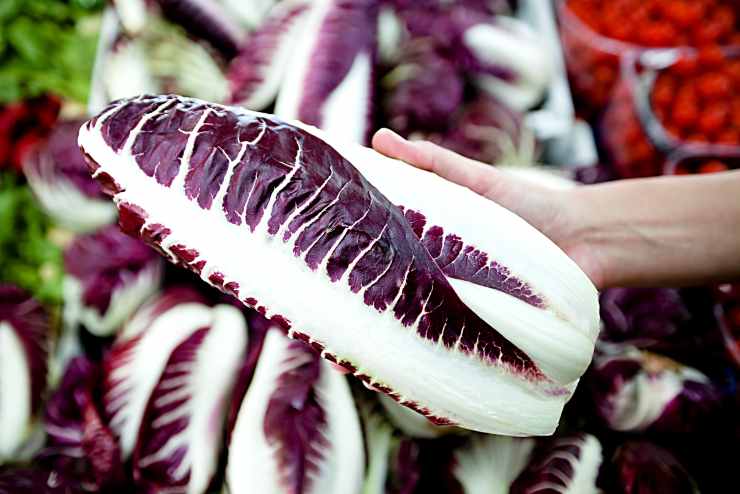 Radicchio rosso benefici - NonSapeviChe