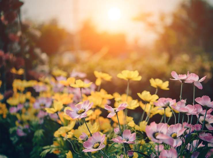 Clima in primavera: tutto quello che c'è da sapere per non essere impreparati