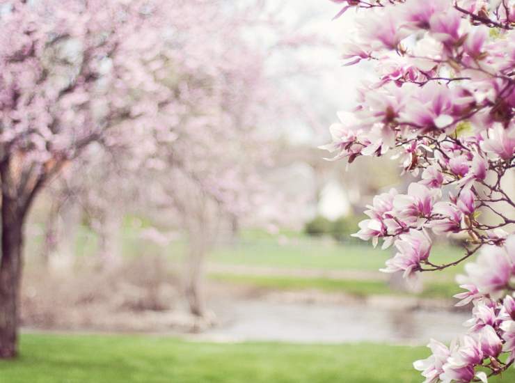 Clima in primavera: tutto quello che c'è da sapere per non essere impreparati