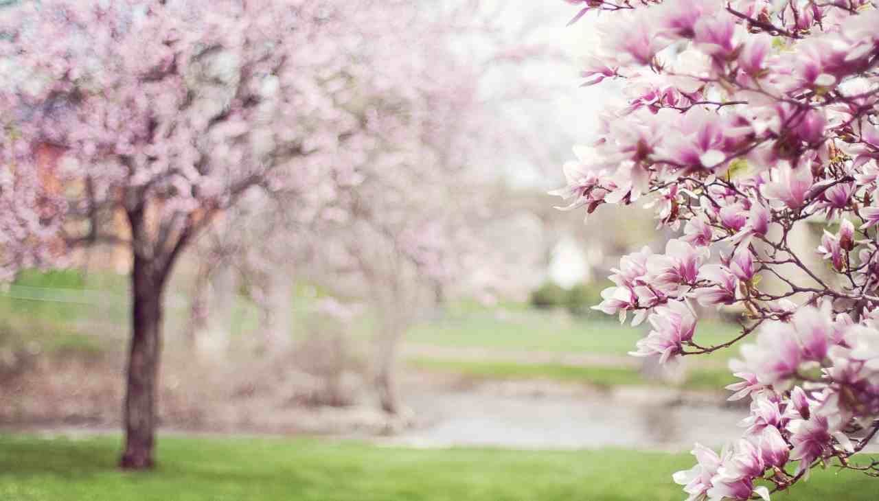 Clima in primavera: tutto quello che c'è da sapere per non essere impreparati