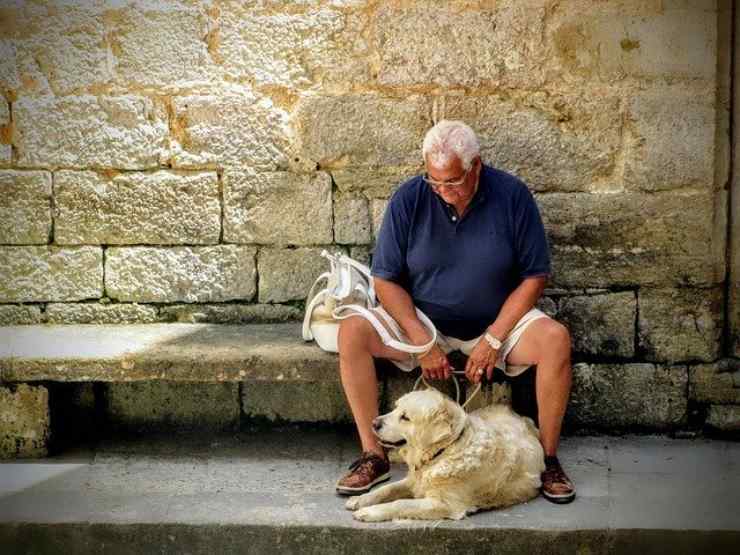 il miglio amico dell'uomo? Il Cane! Ecco gli incredibili effetti sugli anziani, parla la scienza