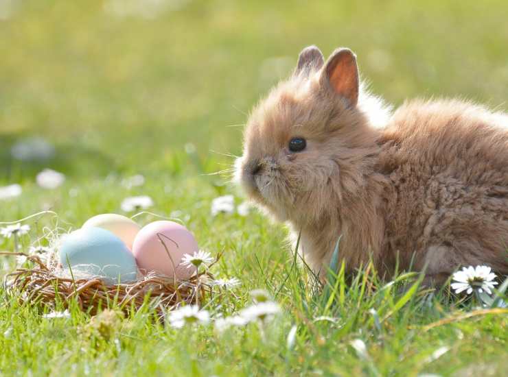 ecco quest'anno quando cade Pasqua, come si calcola questa festività 