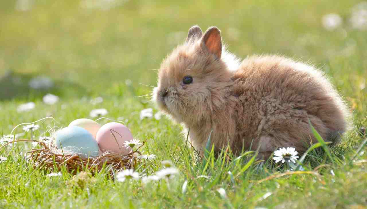 ecco quest'anno quando cade Pasqua, come si calcola questa festività