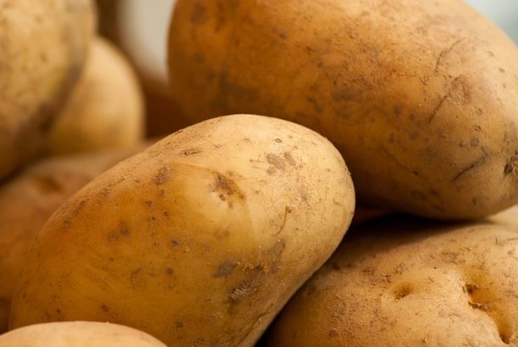 Patate cotte in frigo diventano tossiche? Ecco tutta la verità