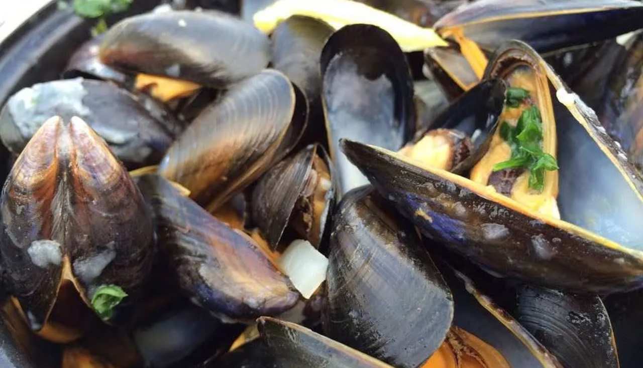 Cozze come pulirle - NonSapeviChe