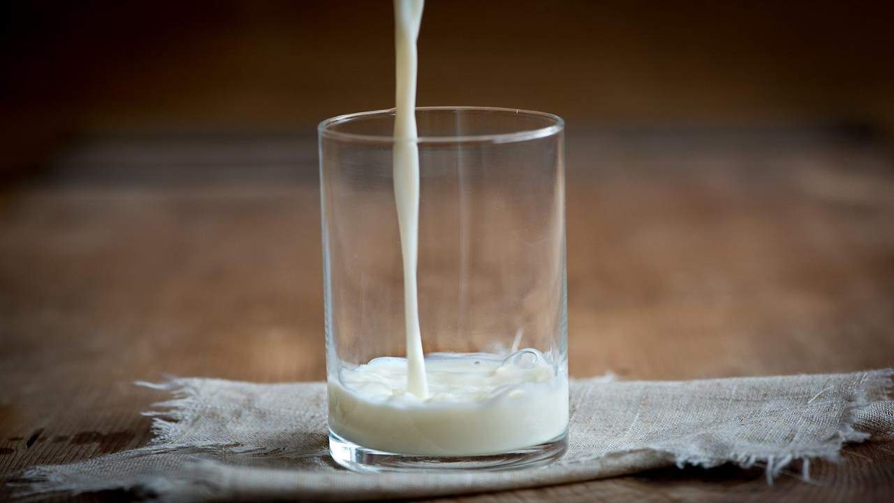 Sono 5 le intolleranze al latte, vediamo tu a quale sei intollerante veramente