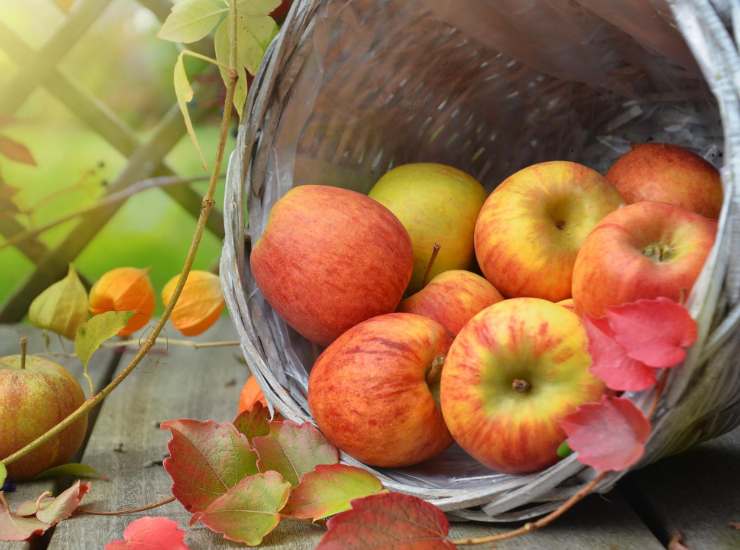 Ecco perché non dovresti mettere le mele nella fruttiera