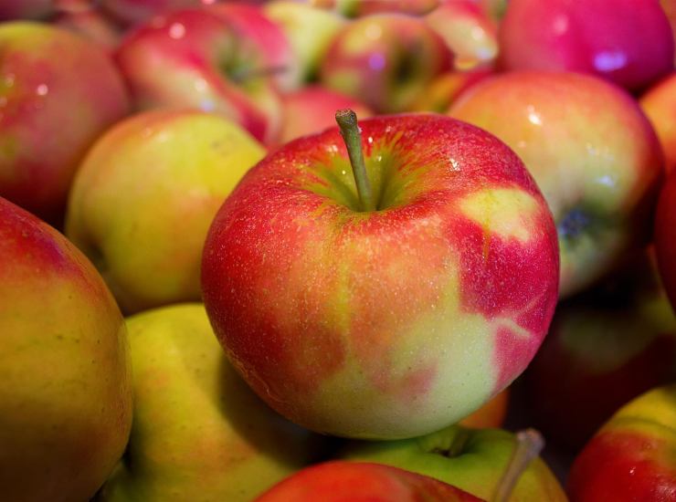 ecco perche non dovreste mai buttare le bucce delle mele, sono un vero toccasana per il colesterolo e la colite