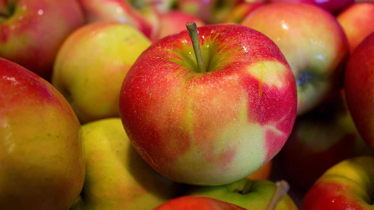 ecco perche non dovreste mai buttare le bucce delle mele, sono un vero toccasana per il colesterolo e la colite