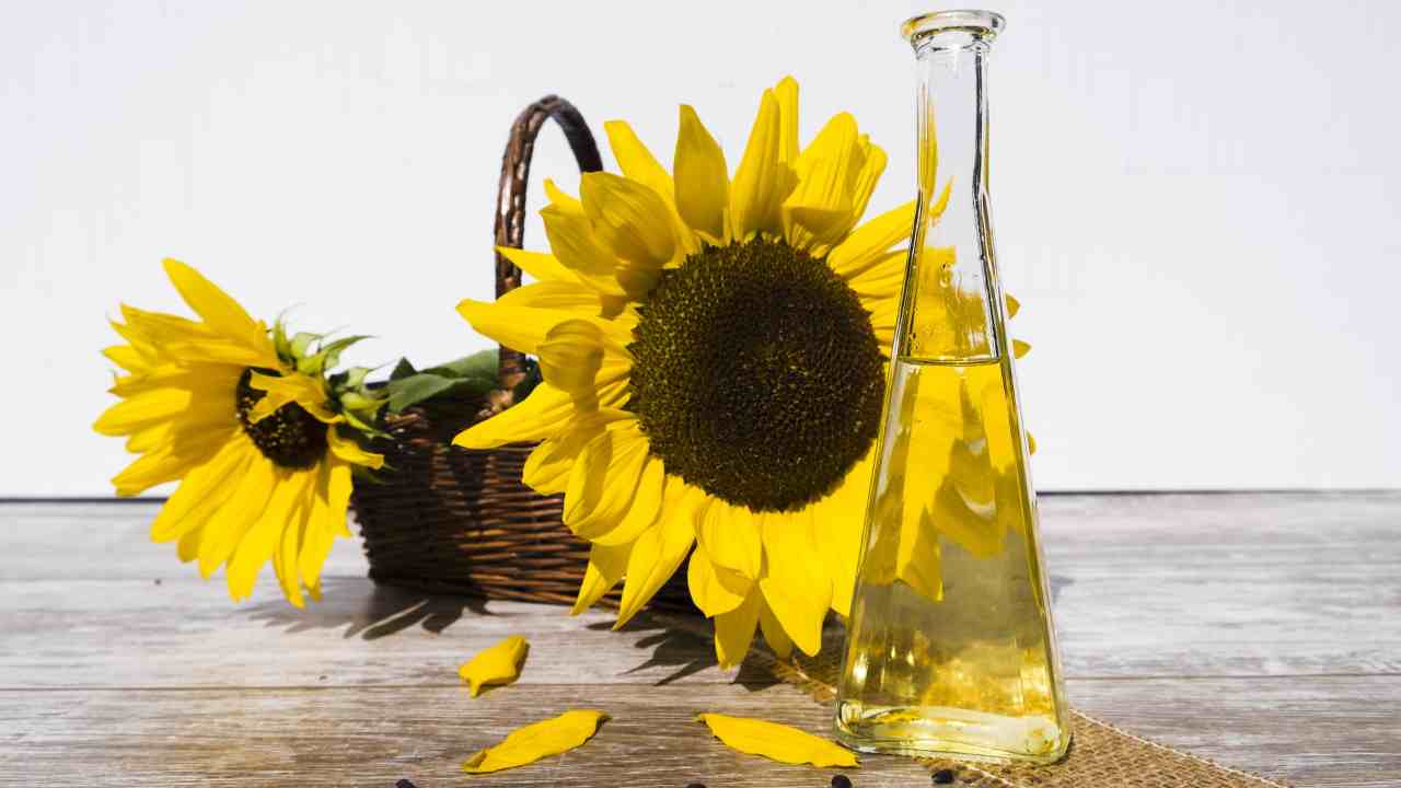 Olio di girasole merce rara e non serve solo per friggere: ecco come sostituirlo